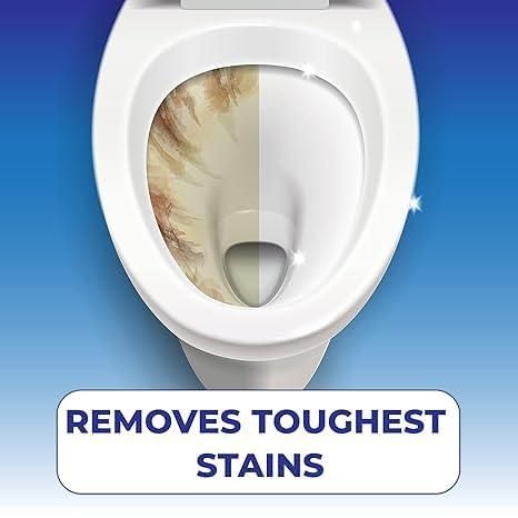 Toilet Cleaning Agent Powder Foaming 500 gm (Pack of 1)